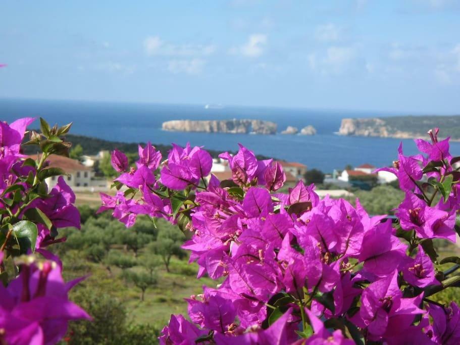 Gianna'S Guesthouse Pylos Luaran gambar